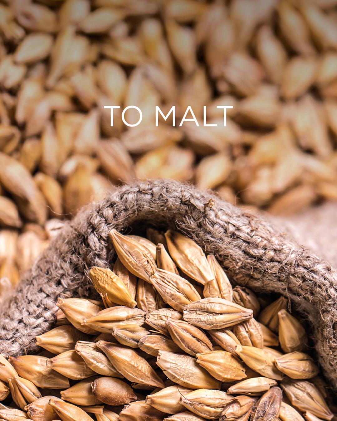 33 Parishes Malt