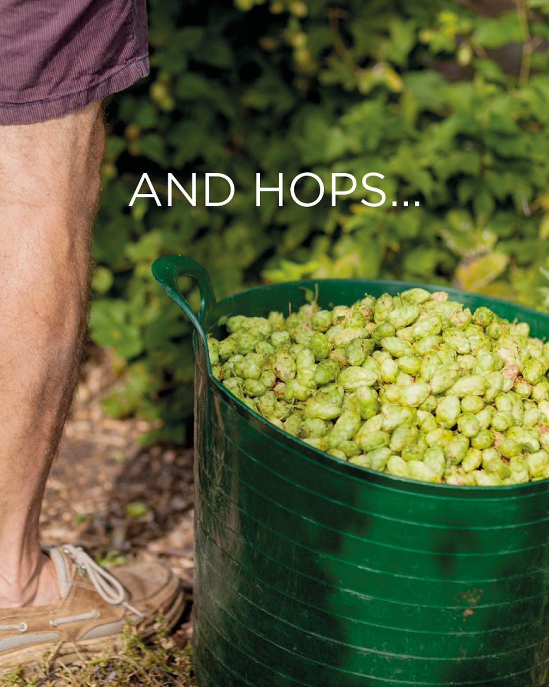 33 Parishes Hops