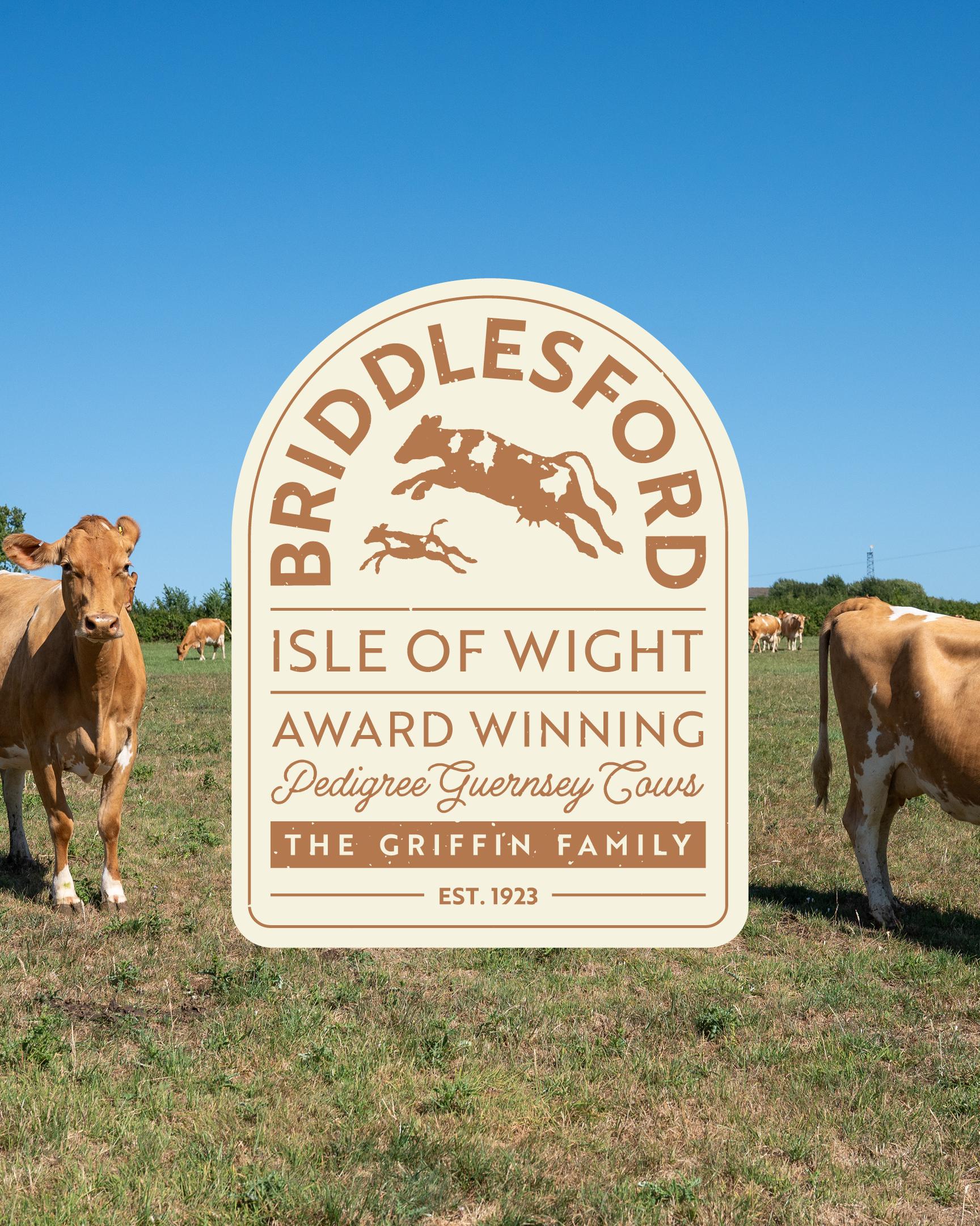 Briddlesford Full Logo Design