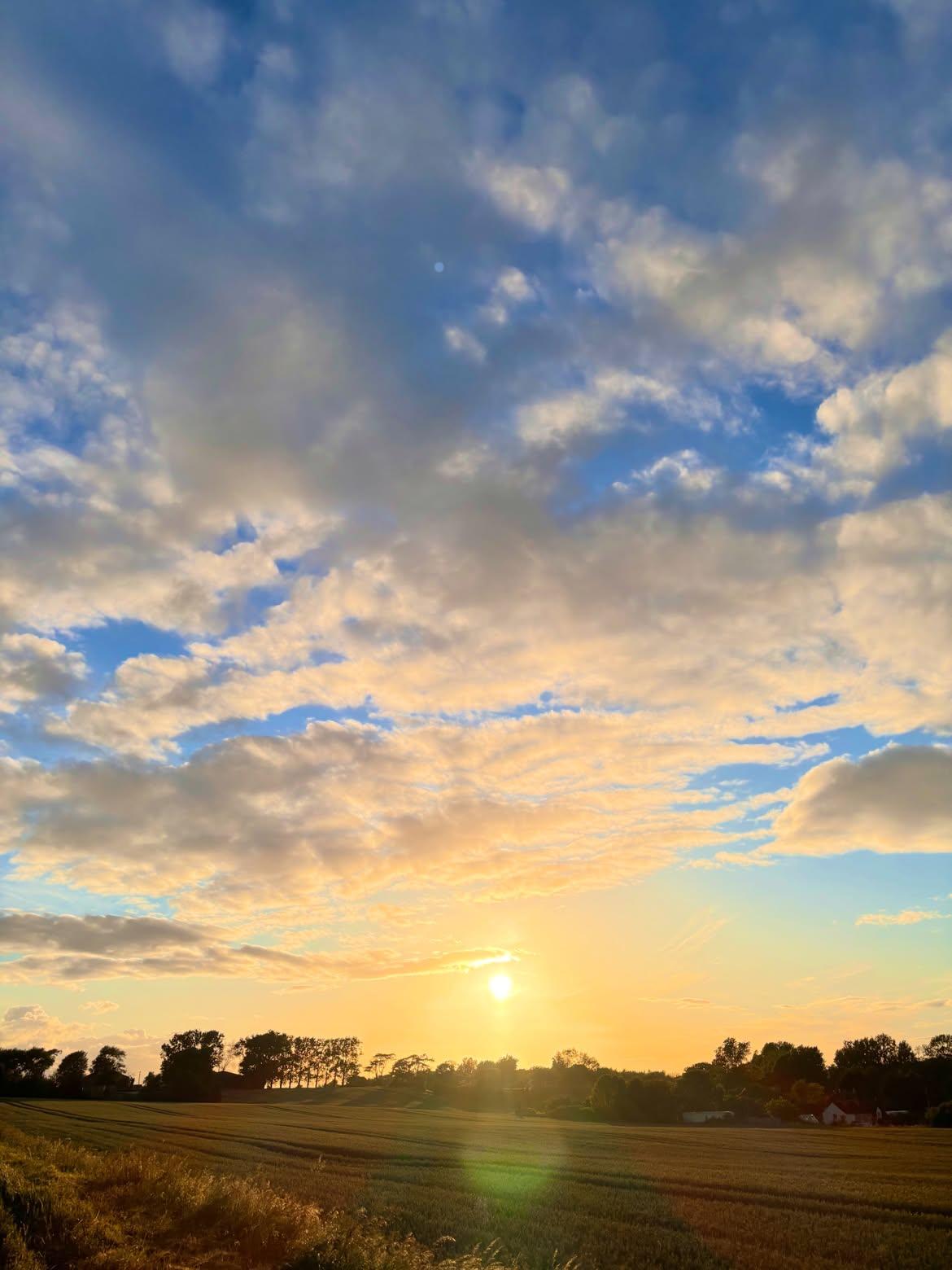 Evening run