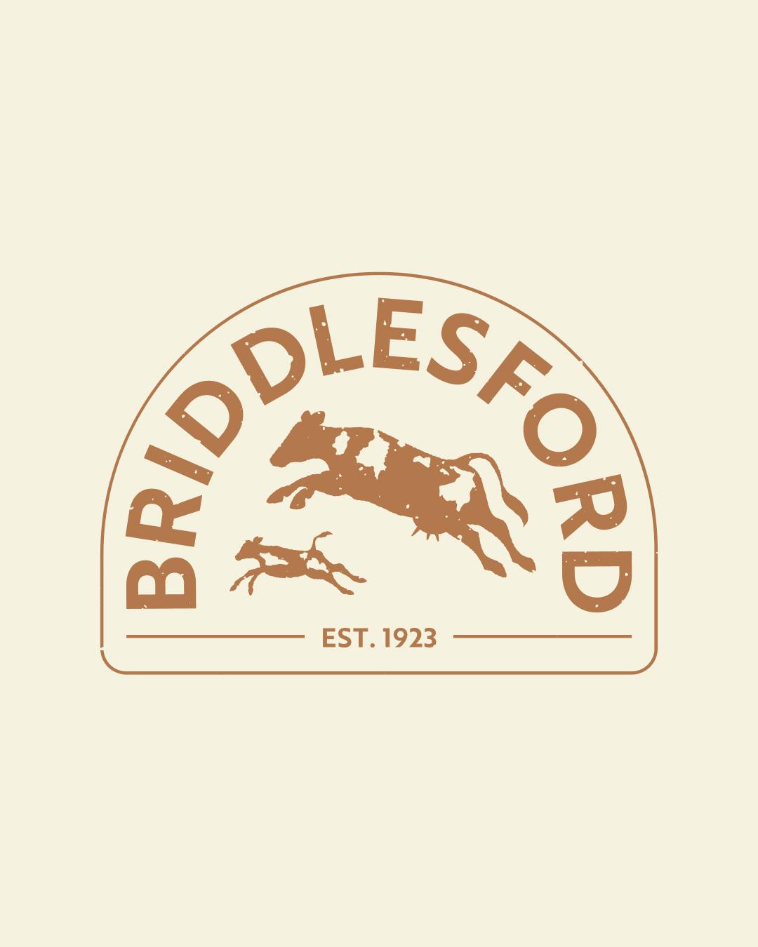 Briddlesford-Thumbnail-Colour-Logo-Design