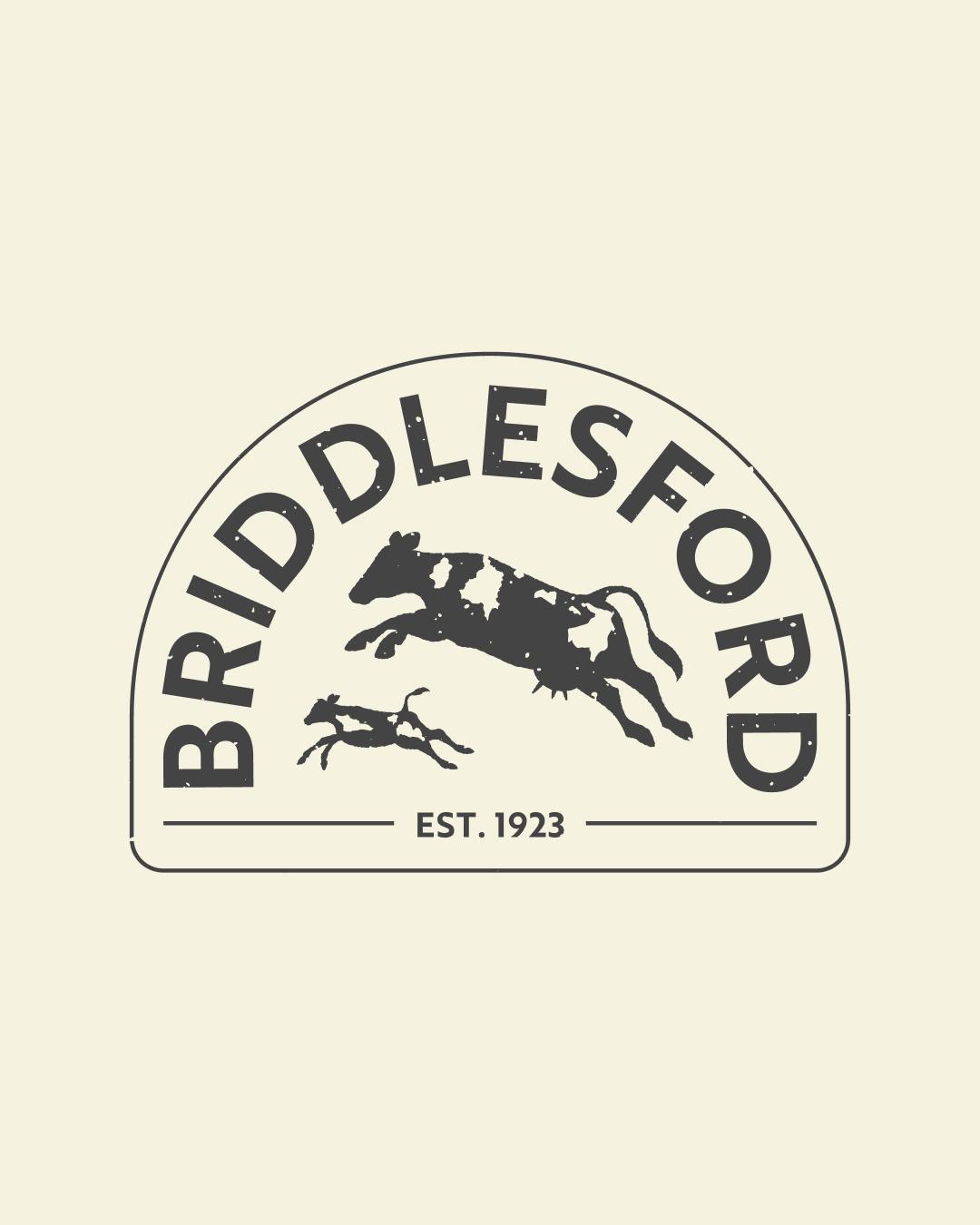 Briddlesford-Thumbnail-Grey-Logo-Design