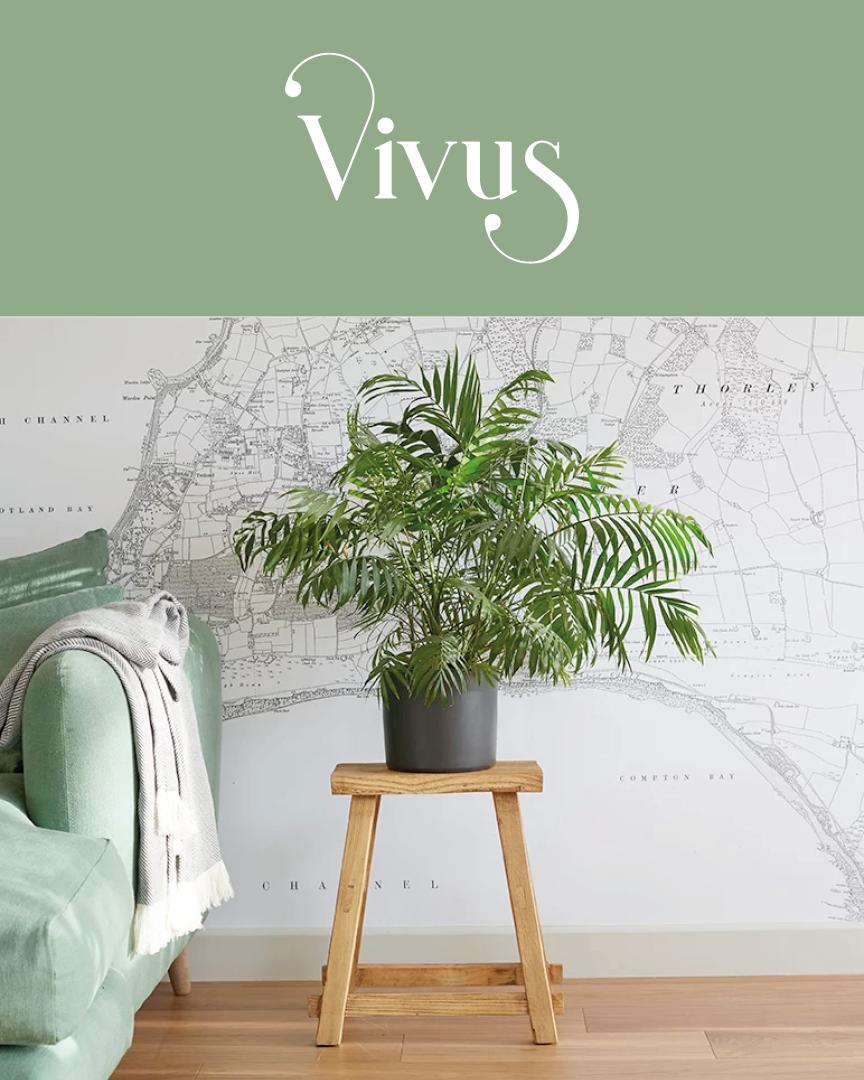 Vivus Interiors - Logo black