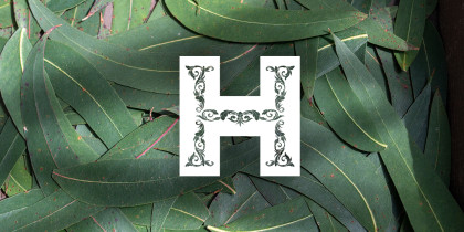 Hill Hassall Botanics