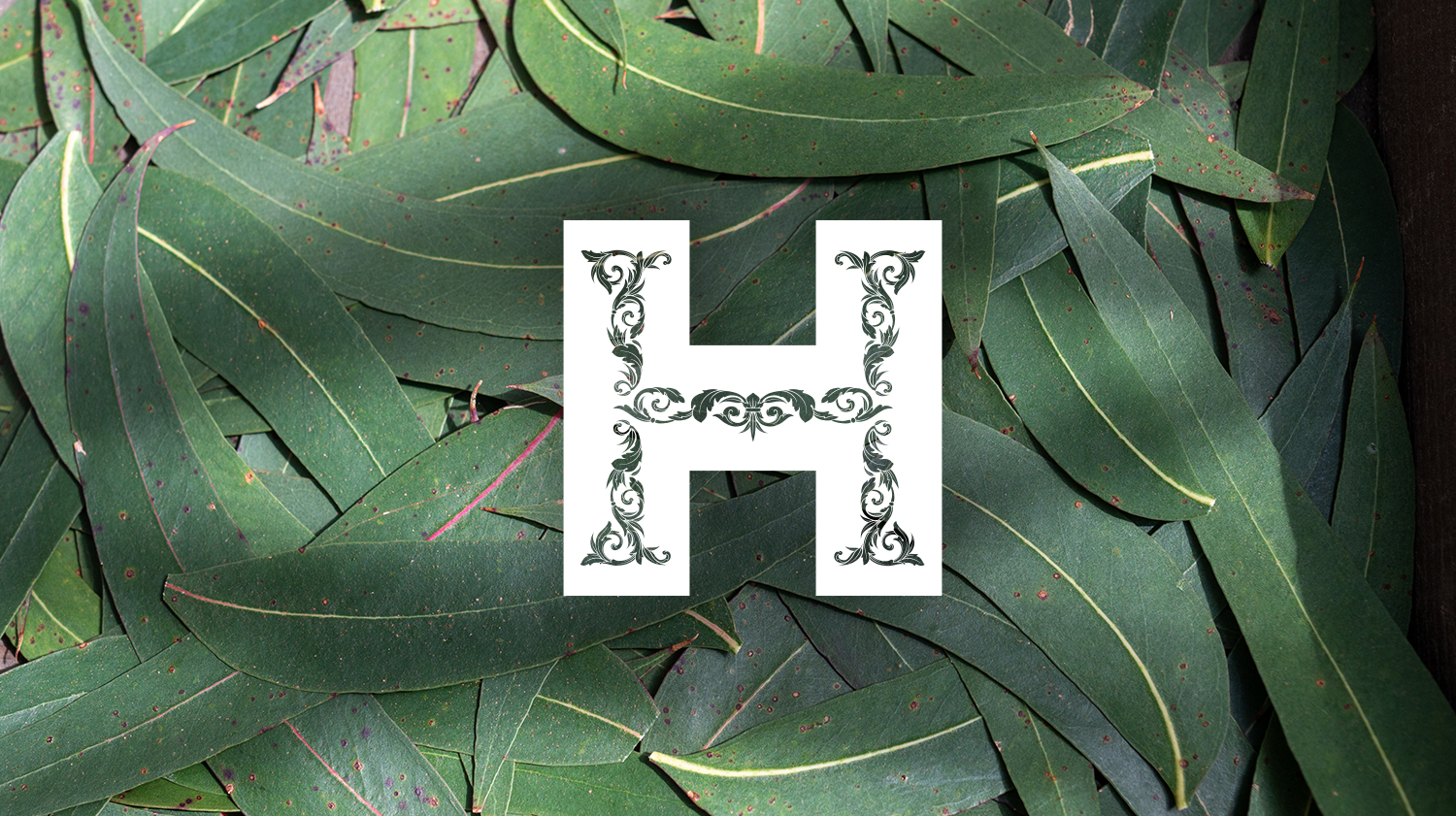 Hill Hassall Botanics Isle of Wight logo design feature 01