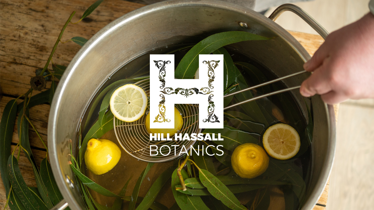 Hill Hassall Botanics Isle of Wight logo design feature 02