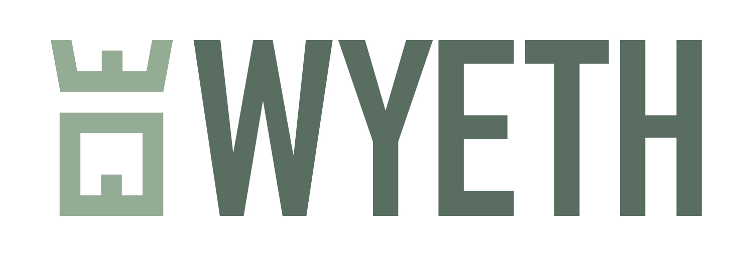 wyeth isle of wight builder logo design